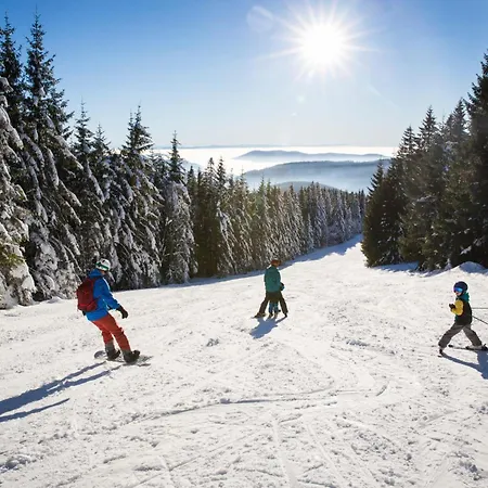 Drei Tannen - 08 - Apartmenthaus, Titisee, Feldberg Lägenhet Titisee-Neustadt