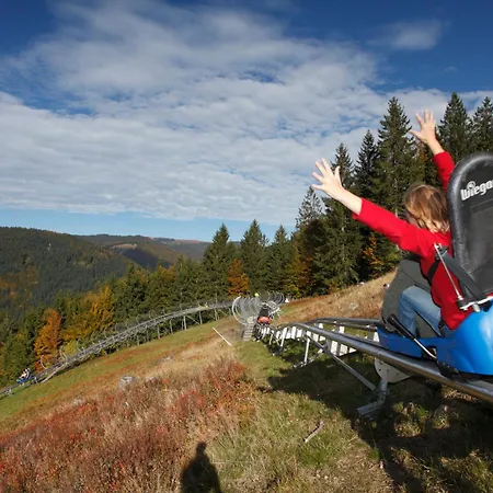 Drei Tannen - 08 - Apartmenthaus, Titisee, Feldberg * Titisee-Neustadt