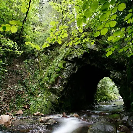 Lägenhet Drei Tannen - 08 - Apartmenthaus, Titisee, Feldberg