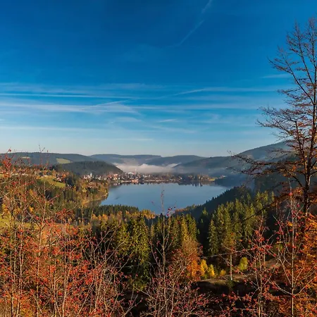 Drei Tannen - 08 - Apartmenthaus, Titisee, Feldberg Lägenhet Titisee-Neustadt