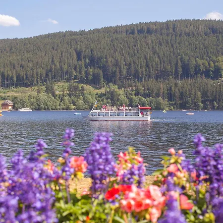 Lägenhet Drei Tannen - 08 - Apartmenthaus, Titisee, Feldberg Titisee-Neustadt