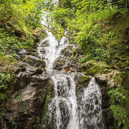 Drei Tannen - 08 - Apartmenthaus, Titisee, Feldberg * Titisee-Neustadt