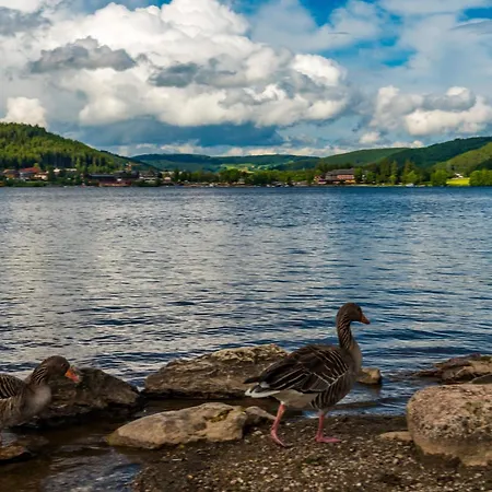 Drei Tannen - 08 - Apartmenthaus, Titisee, Feldberg Lägenhet Titisee-Neustadt