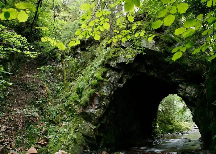 Apartmán Drei Tannen - 08 - Apartmenthaus, Titisee, Feldberg