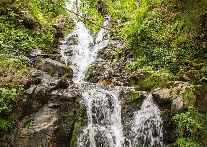 Drei Tannen - 08 - Apartmenthaus, Titisee, Feldberg * Titisee-Neustadt