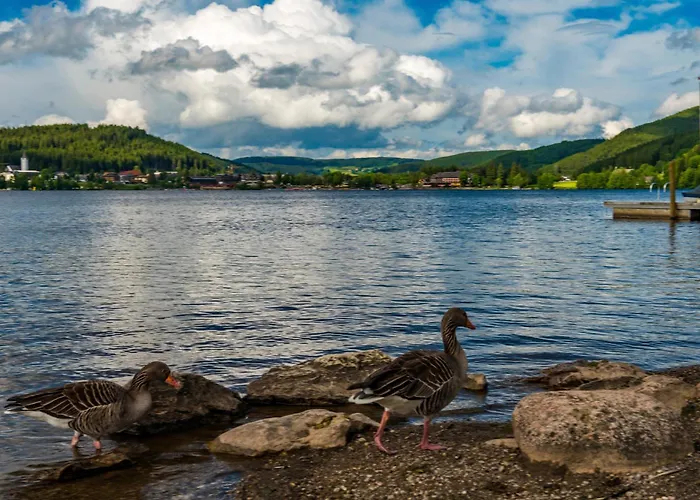 Drei Tannen - 08 - Apartmenthaus, Titisee, Feldberg Apartmán Titisee-Neustadt